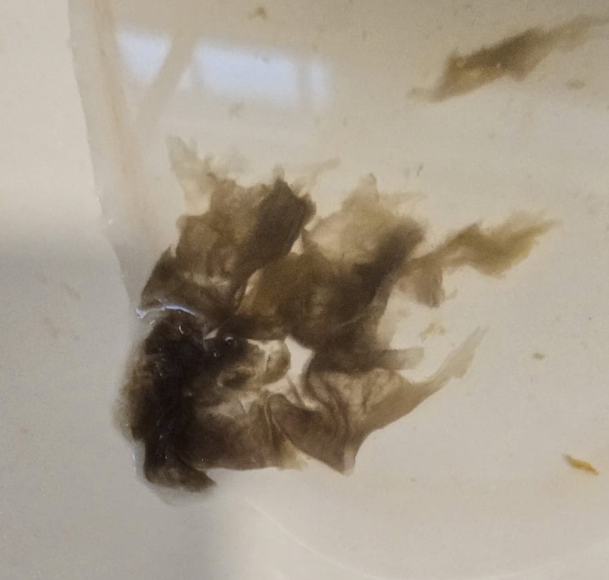black mucus